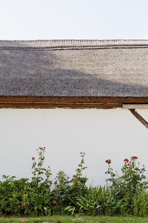 Bio Archehof - Zur Grube Daire Podersdorf am See Dış mekan fotoğraf